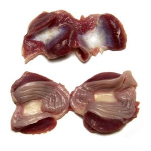 CHICKEN GIZZARD