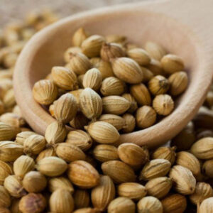 CORIANDER SEEDS